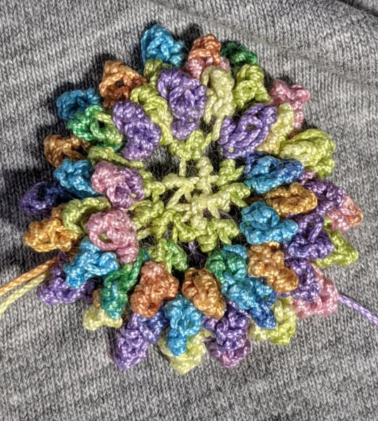 A close up of Donna&#39;s chrysanthemum.