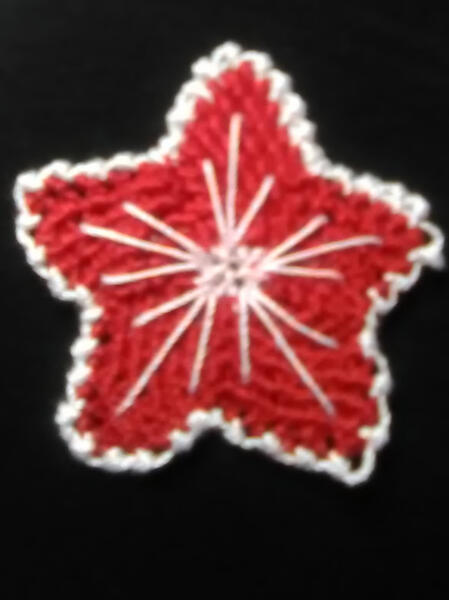 Esther&#39;s star flower with embroidered veins from the quick guide. Lace Guild of Oklahoma, Midwest City, OK.
