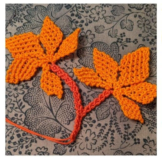 Donna&#39;s maple leaves.